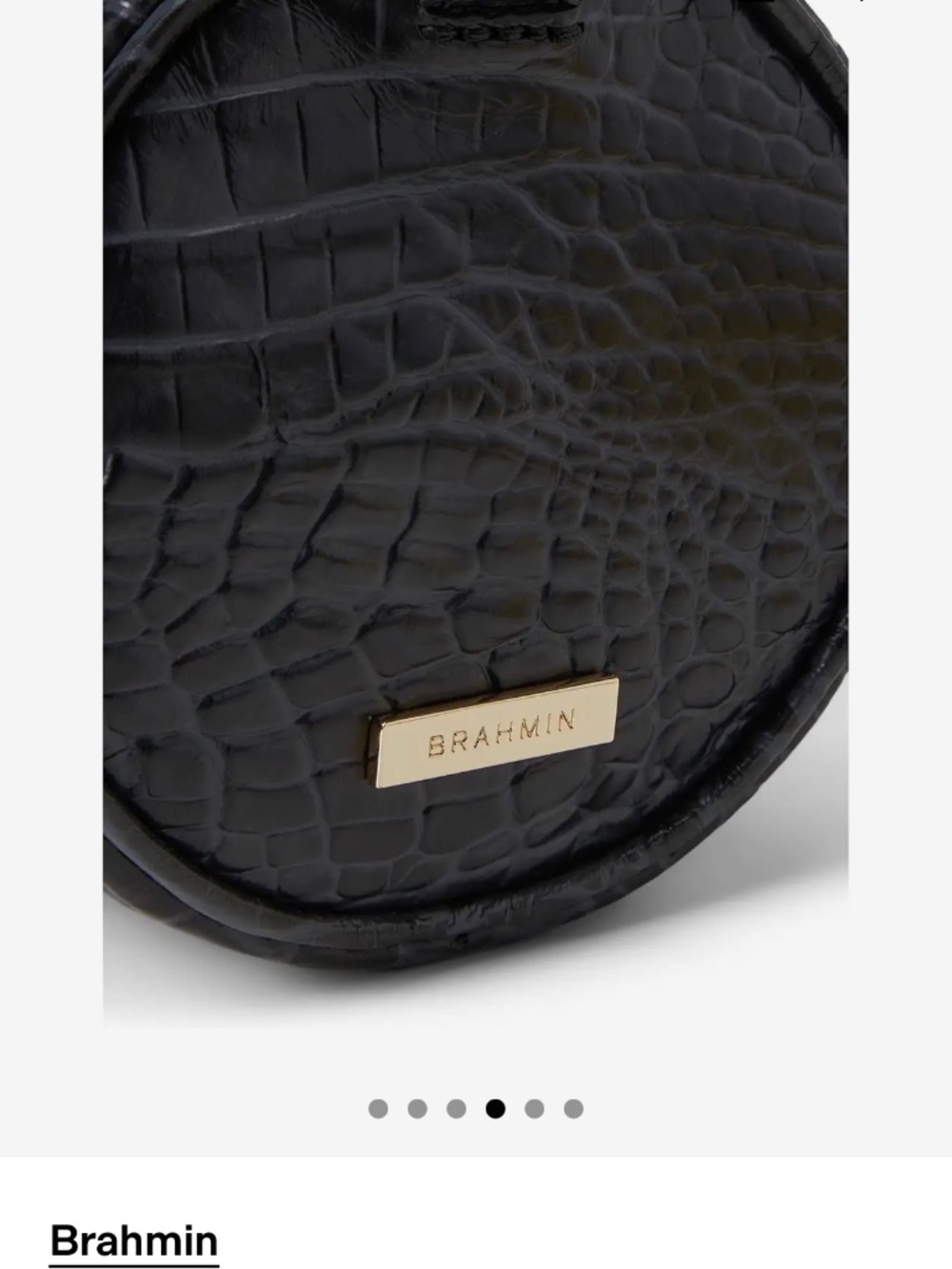 Brahmin - Picture 7 of 7